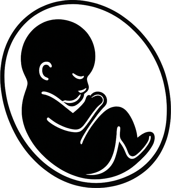 Abolitionist Mission